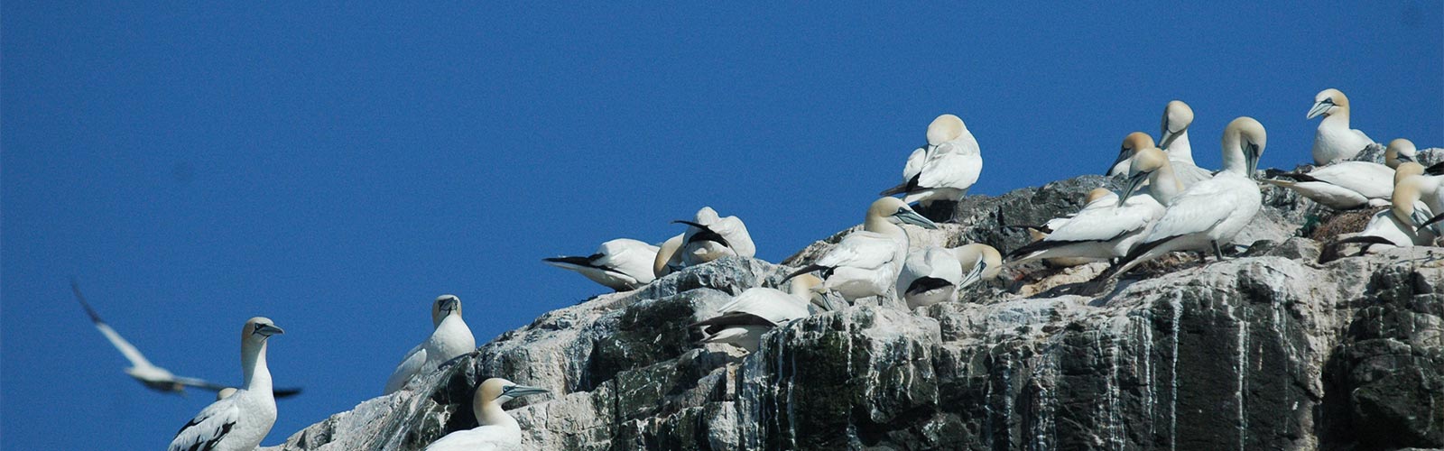 James Fair wildlife photographer 