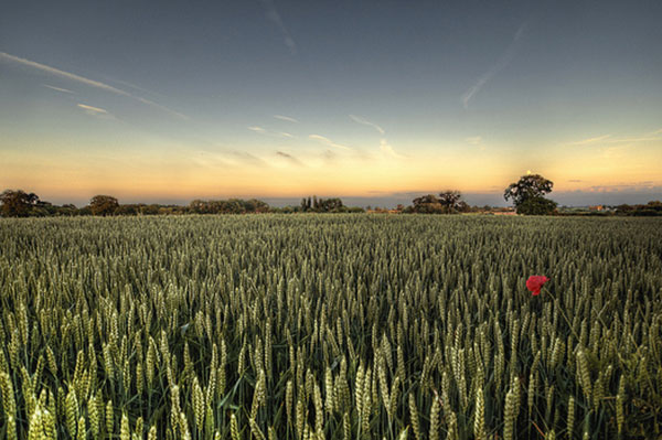 James Fair investigates the hidden costs of farming non-organically and learns how agriculture can become more compatible with biodiversity.